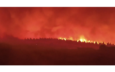 Spagna, roghi fuori controllo nel nordovest: devastati 115 mila ettari di boschi