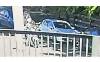 Spari al 25 aprile, l’arrivo in scooter e la fuga verso Piramide: il video che mostra Eithan Bondi colpire due iscritti Anpi