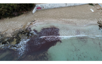 Spiaggia ricoperta di cuori in Salento: il mistero dell’opera anonima comparsa nella notte – Video