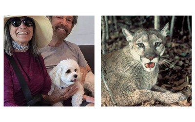 “Stavamo camminando col nostro cane quando è apparso un puma e si è avventato su di lui. Era ancora attaccato al guinzaglio quando lo ha portato via”: la storia di Taulere e Arrone Appel