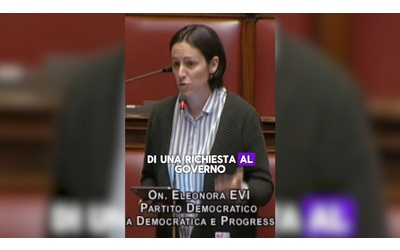 “Stop alla barbarie degli animali nei circhi, il governo firmi i decreti”: l’appello di Evi (Pd) in Aula