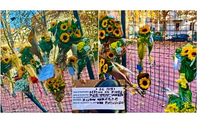 Strappano il fiore per il figlio morto la comunit del basket reagisce la rete del campetto si riempie di girasoli per Alessandro