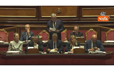 Tajani su Gaza: “Da nonno e da padre dico che questa carneficina deve fermarsi subito”