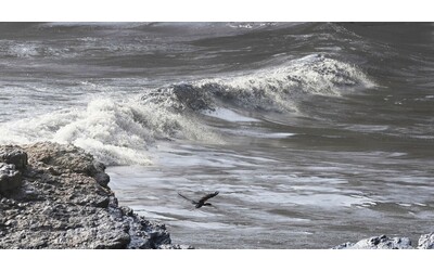 Terremoto di magnitudo 6 7 in Giappone scatta l allerta tsunami Epicentro del sisma a 10 chilometri di profondit nel mare