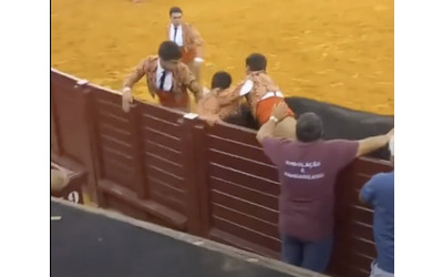 Torero ucciso dal toro durante la corrida, uno spettatore si sente male e muore: doppio tragico evento
