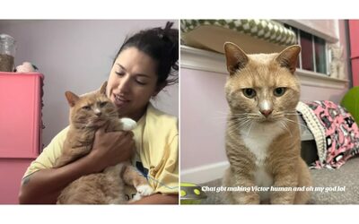 “Tra me e il mio gatto c’è un legame invisibile. Faceva parte della nostra casa prima ancora che ce ne rendessimo conto”: una donna racconta la speciale adozione