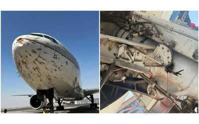 “Un bagno di sangue”: aereo si scontra con uno stormo di uccelli al decollo. Le immagini choc dei passeggeri: ali e finestrini coperti di sangue