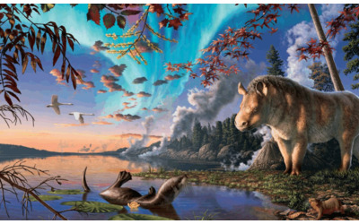 “Un rinoceronte nell’Artico? Le dissi: ‘È un animale molto strano, buona fortuna’”: l’incredibile scoperta di Mary Dawson