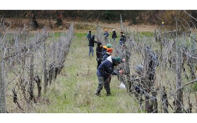 Una Scuola Contadina gratuita sui saperi dell agricoltura l iniziativa dell Unione Buddhista e di Mondeggi Bene Comune