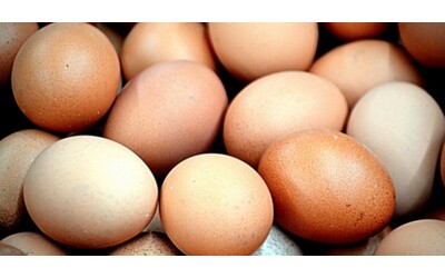 Vi invitiamo a non consumarle e restituirle uova fresche di categoria A ritirati dal commercio per un potenziale rischio microbiologico