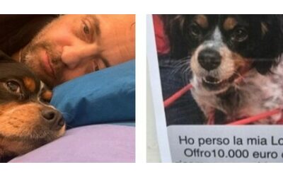 “Vivo da solo, non ho nessuno e da quando ho perso la gamba è l’unica con cui ho un rapporto quotidiano”: l’appello di Massimo per ritrovare la cagnolina Lola