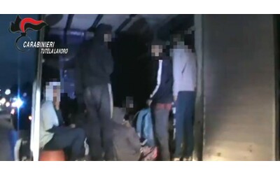 Voi siete delle pecore braccianti massacrati di lavoro per 2 70 euro l ora tre arresti