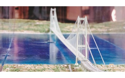 WWF Greenpeace Lipu e Legambiente Ponte sullo Stretto la Corte dei Conti sostiene le nostre motivazioni