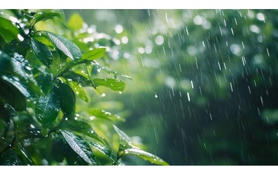 Cambiamenti   climatici  e piogge estreme  cosa sta accadendo sulle vette del Kerala