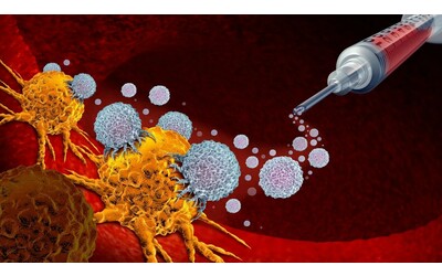 Cancro e immunit un vecchio vaccino rivela un segreto inatteso dopo 20 anni