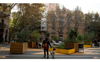 Citt pi verdi e ricche di biodiversit grazie al coinvolgimento dei residenti