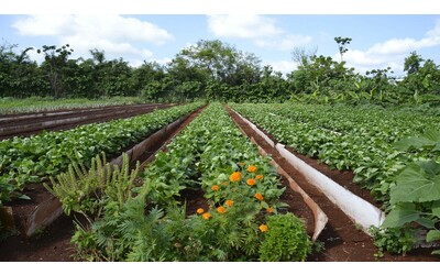 Come vivere bene consumando meno   il   caso   delle  comunit   rurali