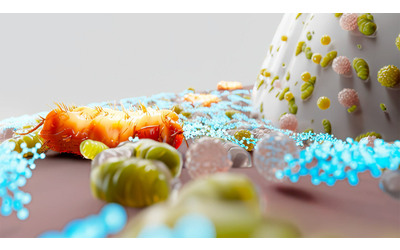 Gengive pi sane arriva il dentifricio che blocca il batterio responsabile della parodontite