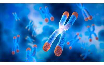 Identificato un nuovo meccanismo che protegge i cromosomi dal caos cellulare