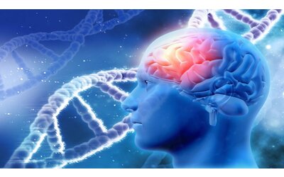 Il cervello umano si è evoluto in modo unico: ecco cosa implica per l’autismo