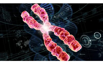 Individuato il legame del DNA con ictus, demenza e invecchiamento cerebrale