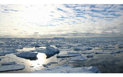 Nidi sul fondale antartico cosa ha visto il robot Lassie