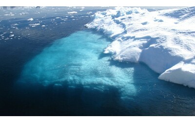 Nuove forme di vita sotto il ghiaccio artico il clima non sar pi lo stesso