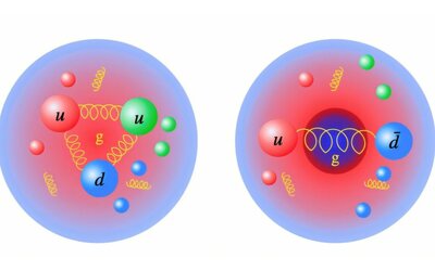 Nuove scoperte sulla distribuzione della massa nei quark e gluoni
