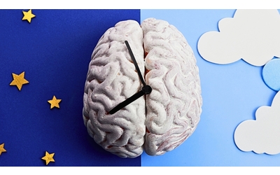 Perch il corpo anticipa la sveglia La scienza dietro il risveglio naturale