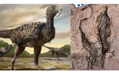 Raptor più grande di sempre, scoperte le impronte: Jurassic Park sembra reale