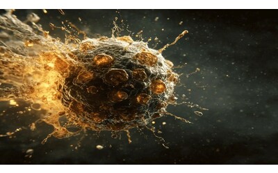 Realizzata    bomba velcro     per  colpire i tumori pi   resistenti