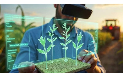Scienza dei dati e sostenibilità: una nuova frontiera dell’AI verde