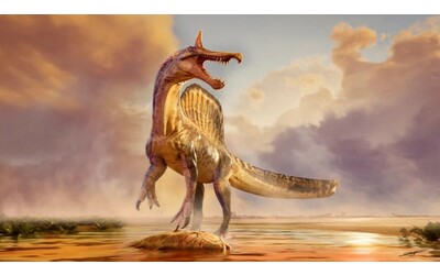 Spinosaurus mirabilis il dinosauro scoperto nel Sahara dopo 95 milioni di anni