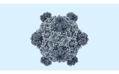 Svolta nella biologia sintetica l IA genera un nuovo virus e apre scenari inattesi