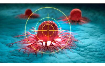 Tumori una nuova strategia risveglia le cellule T esauste e rafforza l immunoterapia