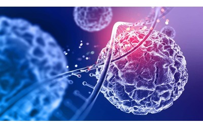 Un microbo mette in discussione un principio chiave della genetica