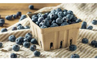 Un rivestimento sostenibile prolunga la vita dei mirtilli