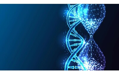 Un verme rivela un trucco genetico sorprendente per la longevit