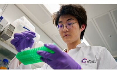Una nuova analisi rivela gravi squilibri nei fondi per la ricerca sul cancro