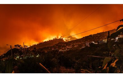 Uno studio svela un aumento della mortalità dopo gli incendi boschivi