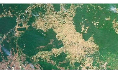 Amazzonia in crisi: tra deforestazione e una COP30 piena di guai