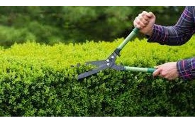 Bonus verde 2024 per terrazze e giardini: i tempi stringono