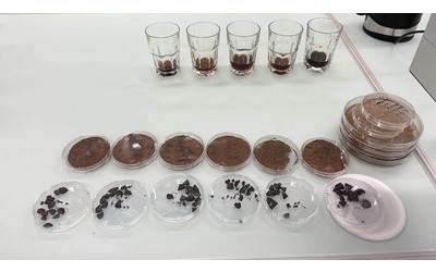 Caffè e cacao si coltiveranno in laboratorio