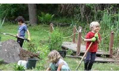 Che fine ha fatto l'educazione ambientale nella nostre scuole?