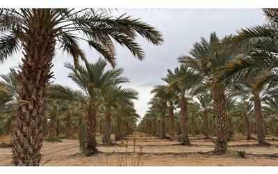 Come gli egizi nel deserto l argilla da antico rimedio a tecnologia innovativa contro la siccit