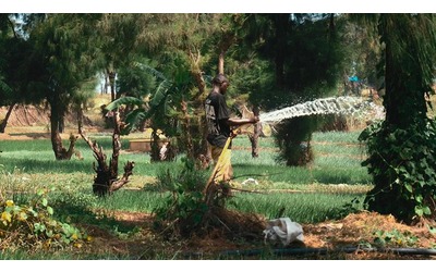 Conflitti e risorse alimentari un legame sempre pi evidente