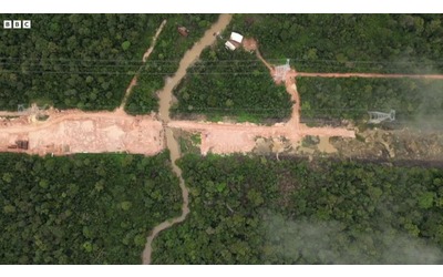 Cop30 in Brasile: abbattuti ettari di foresta amazzonica per costruire l’autostrada