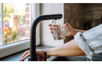 Fertilizzanti e scarichi dagli allevamenti intensivi i rischi nell acqua potabile