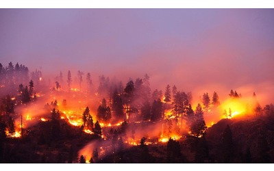 Gli incendi boschivi inquinano pi di quanto si credesse