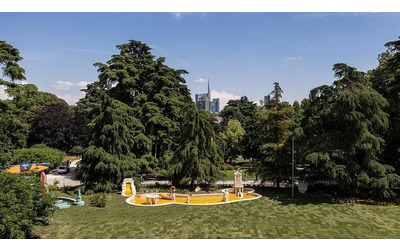 Il 5% in più di alberi nelle città aiuta a prevenire 5mila morti premature all’anno